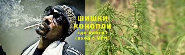 PSILOCYBIN Заволжье
