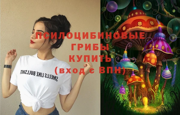 мдпв Заволжск