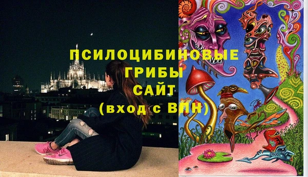 мдпв Заволжск