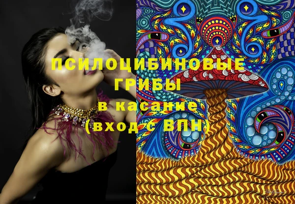хмурый Заводоуковск