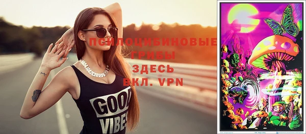 PSILOCYBIN Заволжье