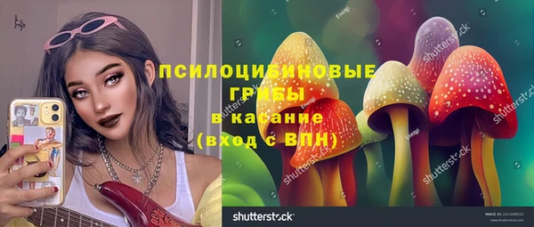 хмурый Заводоуковск