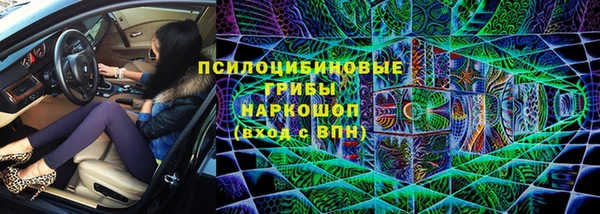 хмурый Заводоуковск