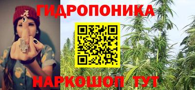 шишки Ярцево