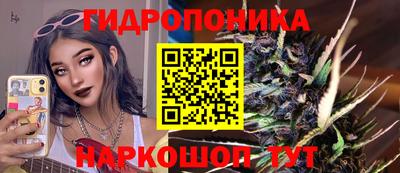 шишки Ярцево