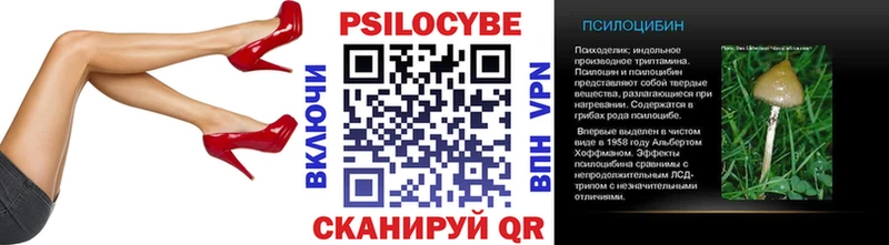 маркетплейс как зайти  ОМГ ОМГ зеркало  Карасук  Галлюциногенные грибы MAGIC MUSHROOMS 