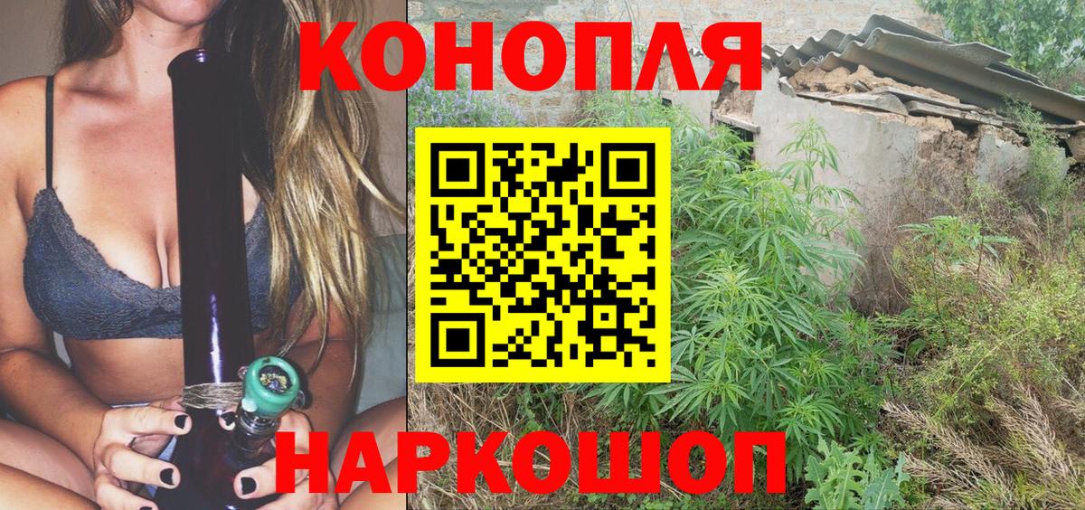 Шишки марихуана конопля  Каннабис сатива  Конопля Ganja  Карасук  Вход с VPN 